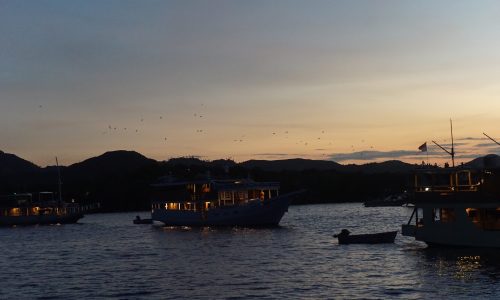 DSC05459 (1)