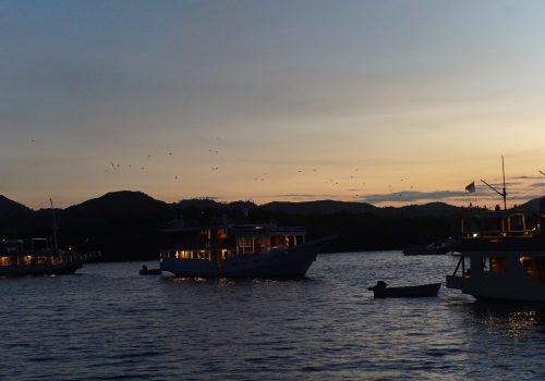 DSC05459 (1)